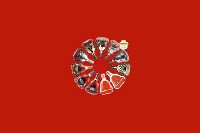 温州市龙港回收红酒